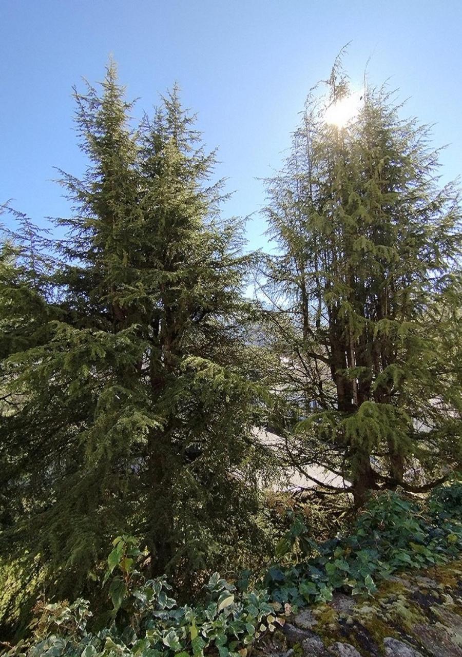 Appartement Le Welcome Argelès-Gazost Exteriér fotografie